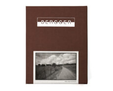 BERGGER Pancro 400-4x5 (25-sheets) - Image 6